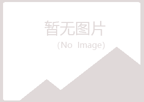 重庆紫山保险有限公司